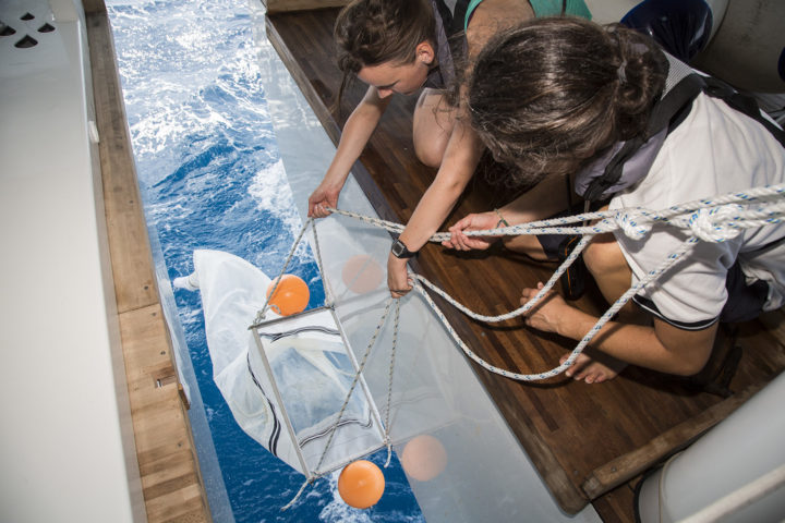 R4WO_CUBA_SCIENTIFIC_STUDY_LINN_OLSEN_AND_ANNE_LE_CHANTOUX_LAUNCHING_MANTA_NET_AUGUST_5_PHOTO_PETER_CHARAF_M05A9749_WEB