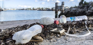 race for water tonga plastic pollution