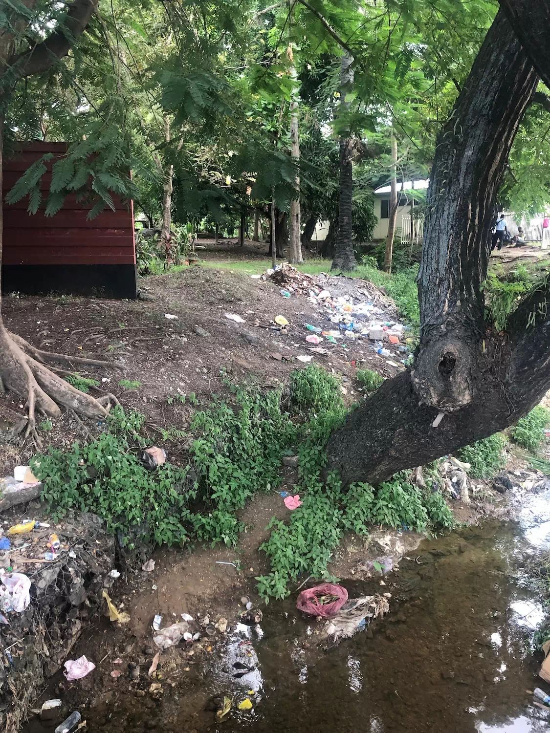 salomon island race for water plastic pollution