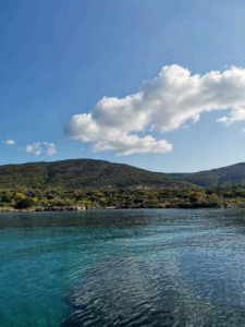 Amp_Asinara